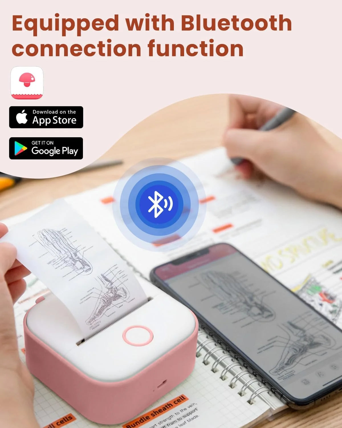 T02 Portable Label Maker, Mini Sticker Printer, Bluetooth Inkless Sticker Maker Machine, Mobile Printer for Study Notes, Kids Gift, Photos, Journals, To-Dos (Pink)